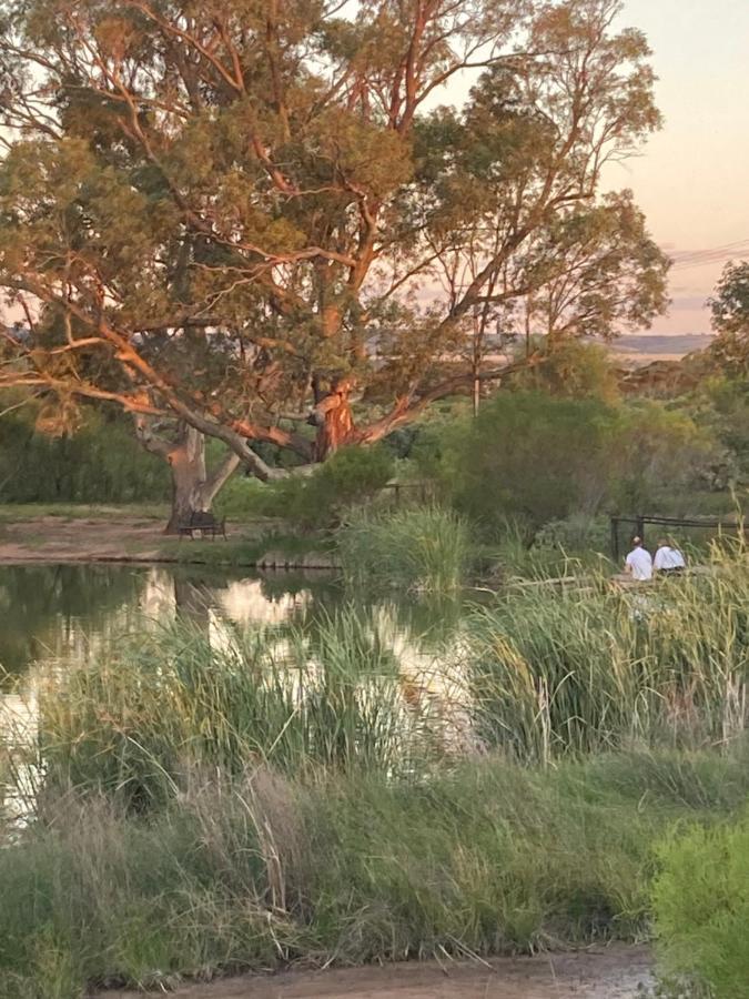 Still Earth Port Pirie Buitenkant foto