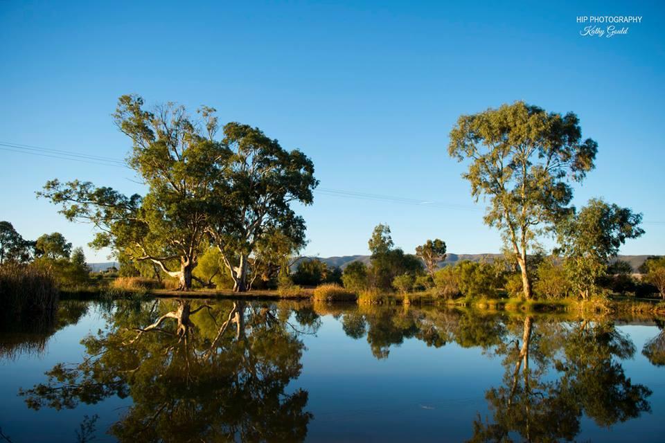 Still Earth Port Pirie Buitenkant foto